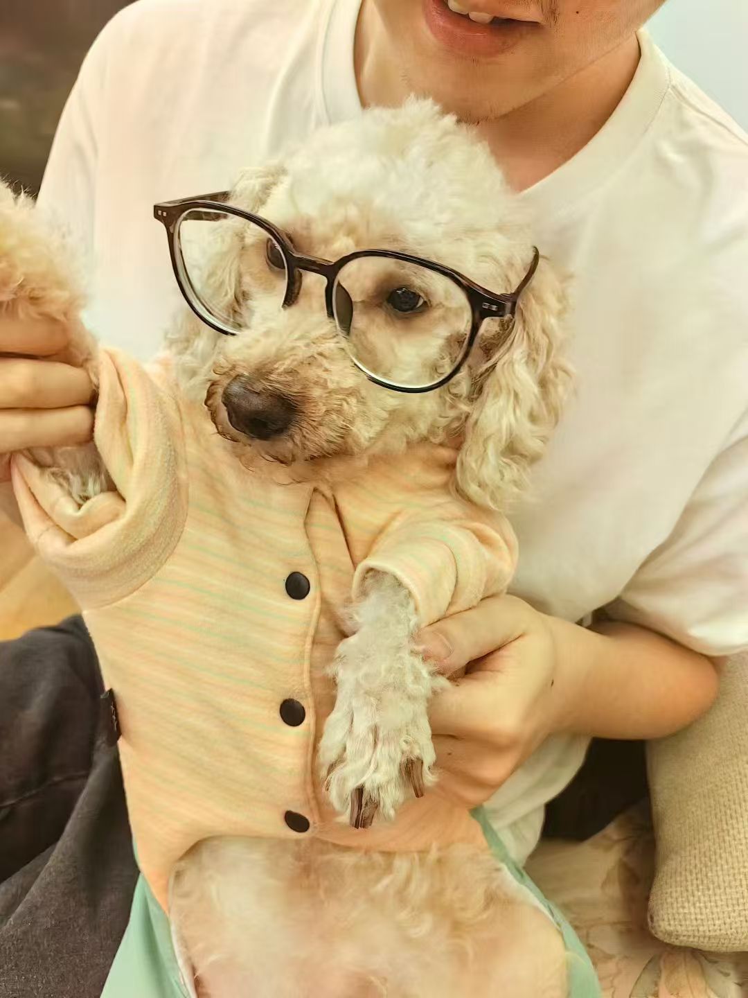 XY Global Service Team Dr. Peanut